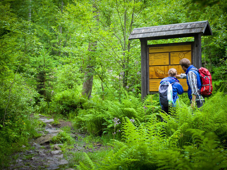 Ein Pärchen steht vor einer Wandertafel im dichten Grün des Bayerischen Wald.